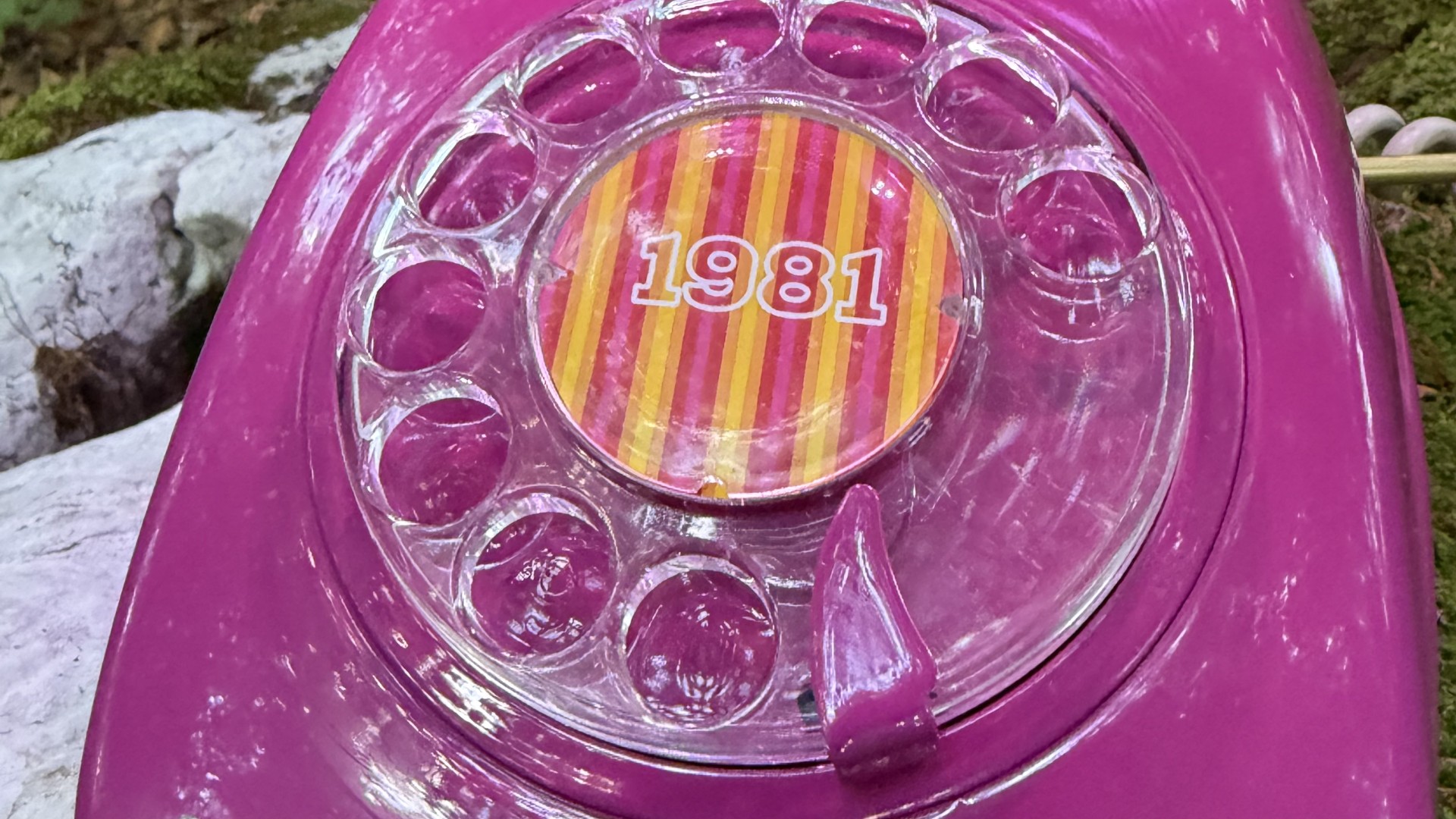 Pink 1981